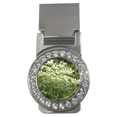 White Summer Flowers Money Clips (cz) 