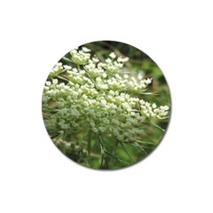 White Summer Flowers Magnet 3  (round)