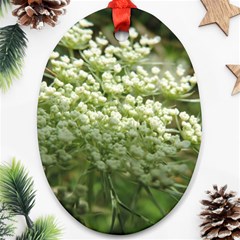 White Summer Flowers Oval Ornament (two Sides)