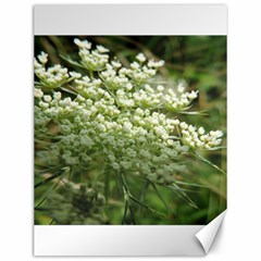 White Summer Flowers Canvas 12  X 16  