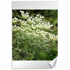 White Summer Flowers Canvas 20  X 30  