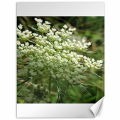 White Summer Flowers Canvas 36  X 48  