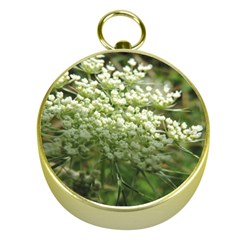 White Summer Flowers Gold Compasses