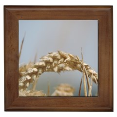 Cornfield Framed Tiles