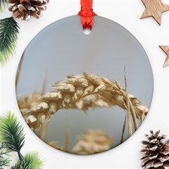 Cornfield Ornament (round) 