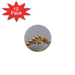 Cornfield 1  Mini Buttons (10 Pack) 