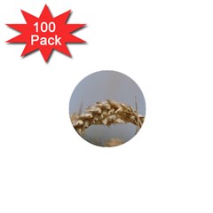 Cornfield 1  Mini Buttons (100 Pack)  by picsaspassion