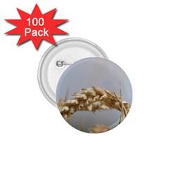 Cornfield 1 75  Buttons (100 Pack)  by picsaspassion