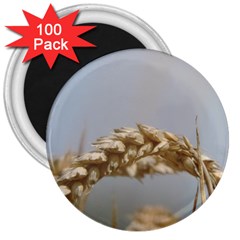 Cornfield 3  Magnets (100 Pack)