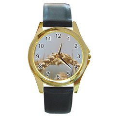 Cornfield Round Gold Metal Watch