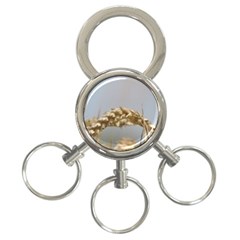 Cornfield 3-ring Key Chains