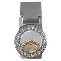 Cornfield Money Clips (cz) 