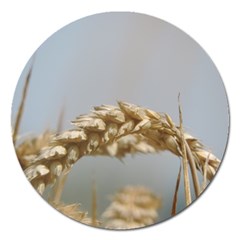 Cornfield Magnet 5  (round)