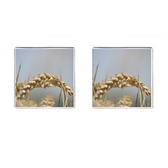 Cornfield Cufflinks (square)