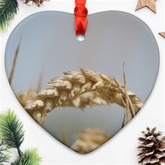 Cornfield Heart Ornament (2 Sides)