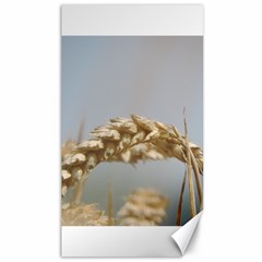 Cornfield Canvas 40  X 72  