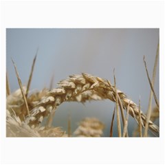 Cornfield Large Glasses Cloth