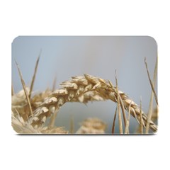 Cornfield Plate Mats