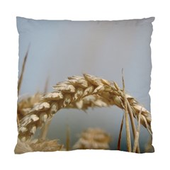 Cornfield Standard Cushion Case (two Sides)