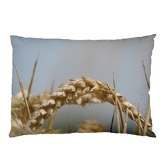 Cornfield Pillow Case