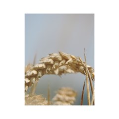 Cornfield Shower Curtain 48  X 72  (small) 