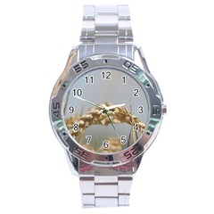 Cornfield Stainless Steel Analogue Watch