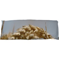 Cornfield Samsung S3350 Hardshell Case