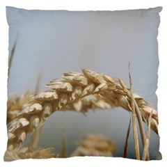 Cornfield Large Cushion Case (two Sides)