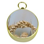 Cornfield Gold Compasses Front