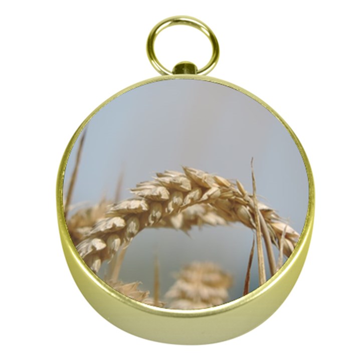 Cornfield Gold Compasses