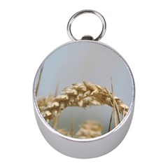 Cornfield Mini Silver Compasses by picsaspassion