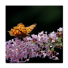 Butterfly Sitting On Flowers Tile Coasters by picsaspassion