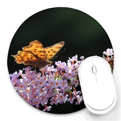 Butterfly Sitting On Flowers Round Mousepads