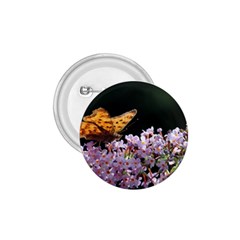 Butterfly Sitting On Flowers 1 75  Buttons