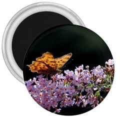 Butterfly Sitting On Flowers 3  Magnets