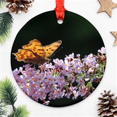 Butterfly Sitting On Flowers Ornament (round) 