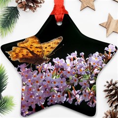 Butterfly Sitting On Flowers Ornament (star) 