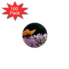 Butterfly Sitting On Flowers 1  Mini Magnets (100 Pack) 