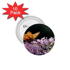 Butterfly Sitting On Flowers 1 75  Buttons (10 Pack)