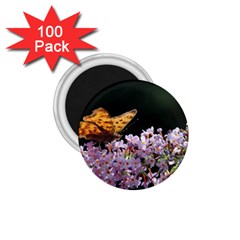 Butterfly Sitting On Flowers 1 75  Magnets (100 Pack)  by picsaspassion