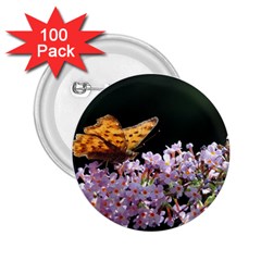 Butterfly Sitting On Flowers 2 25  Buttons (100 Pack)  by picsaspassion