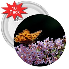 Butterfly Sitting On Flowers 3  Buttons (10 Pack)  by picsaspassion