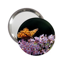 Butterfly Sitting On Flowers 2 25  Handbag Mirrors