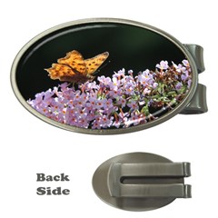 Butterfly Sitting On Flowers Money Clips (oval)  by picsaspassion