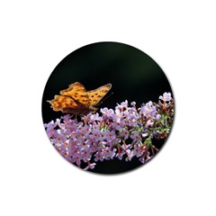 Butterfly Sitting On Flowers Rubber Round Coaster (4 Pack) 