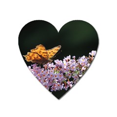 Butterfly Sitting On Flowers Heart Magnet