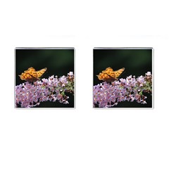 Butterfly Sitting On Flowers Cufflinks (square) by picsaspassion