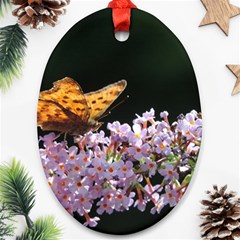 Butterfly Sitting On Flowers Oval Ornament (two Sides)