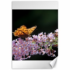 Butterfly Sitting On Flowers Canvas 12  X 18  