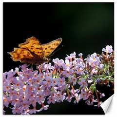 Butterfly Sitting On Flowers Canvas 16  X 16  